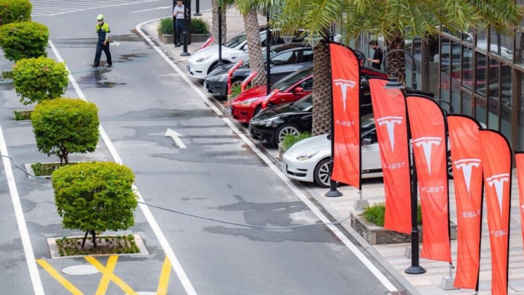 tesla vehicles parked beside a road1