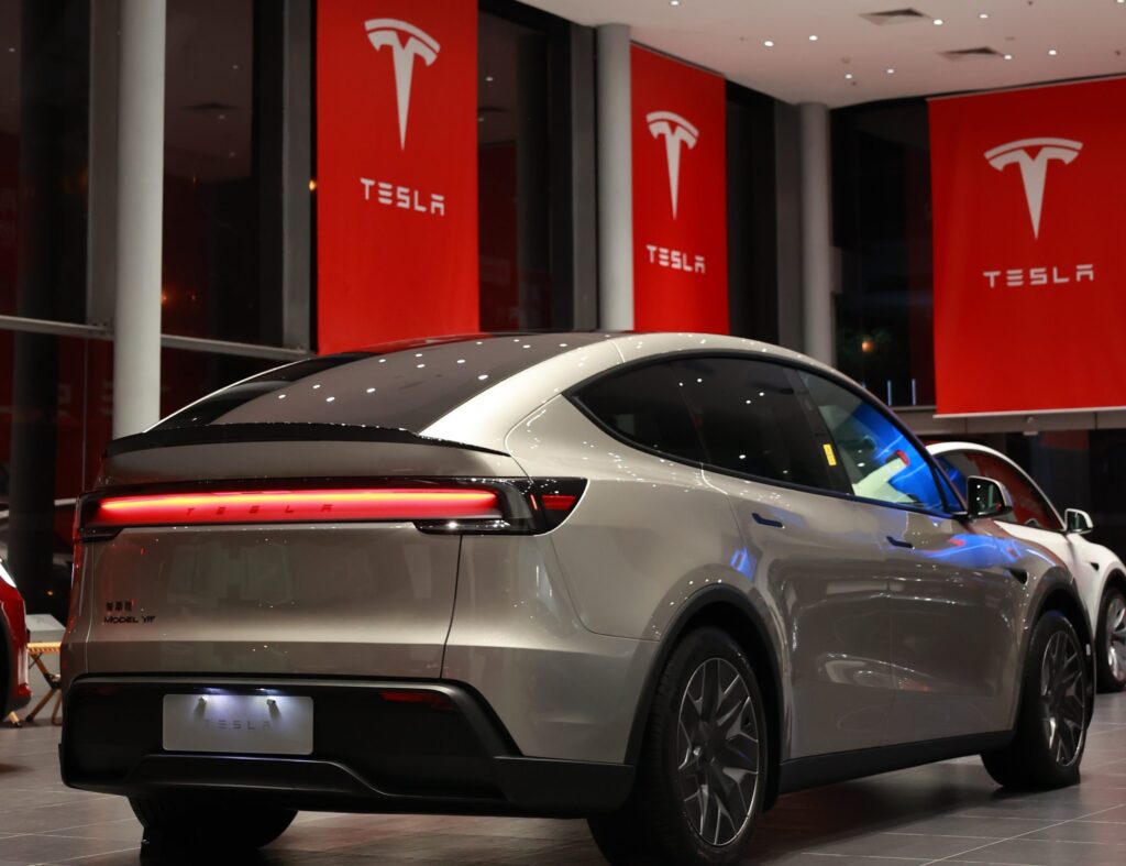 model y l a scaled1